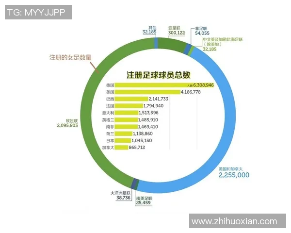 2016年亚洲足球排名分析及各国球队表现评估