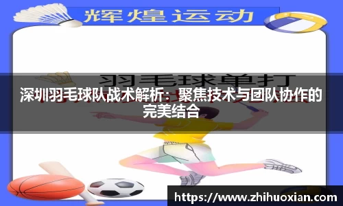 深圳羽毛球队战术解析：聚焦技术与团队协作的完美结合